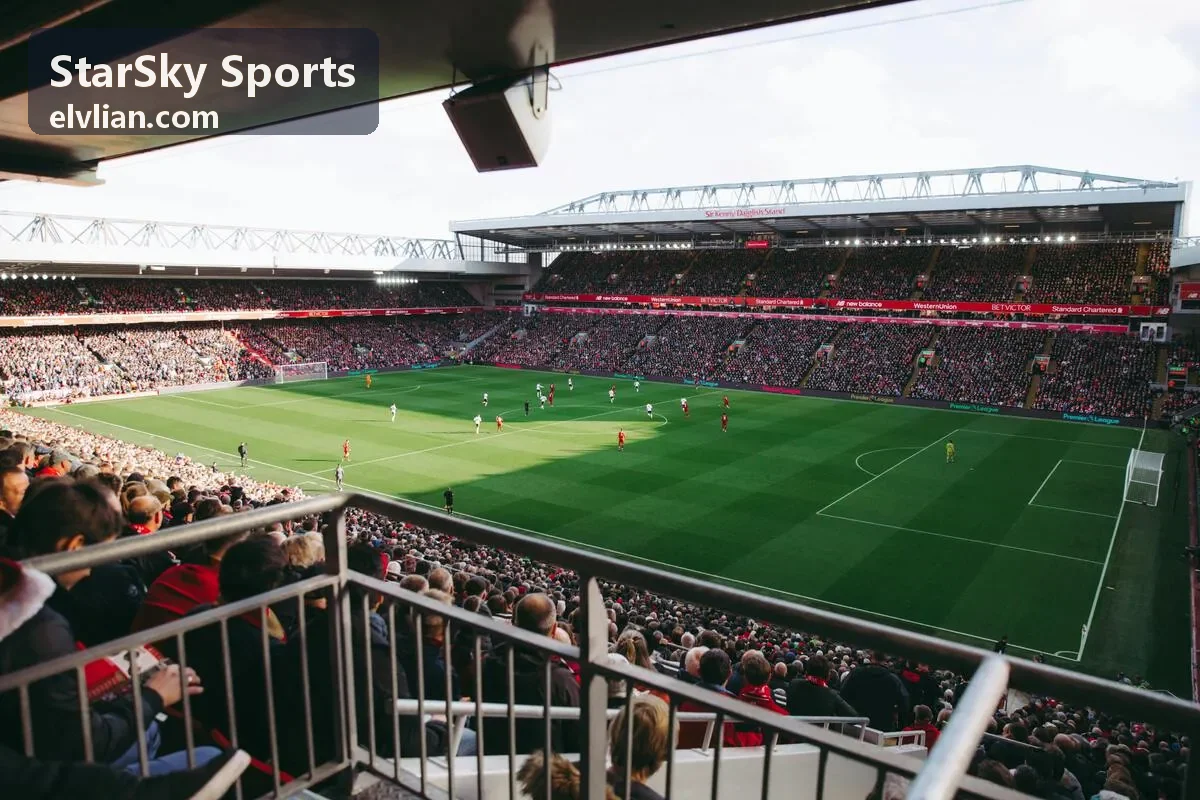 StarSky Sports 城市半程赛起跑拱门与赛道分区现场