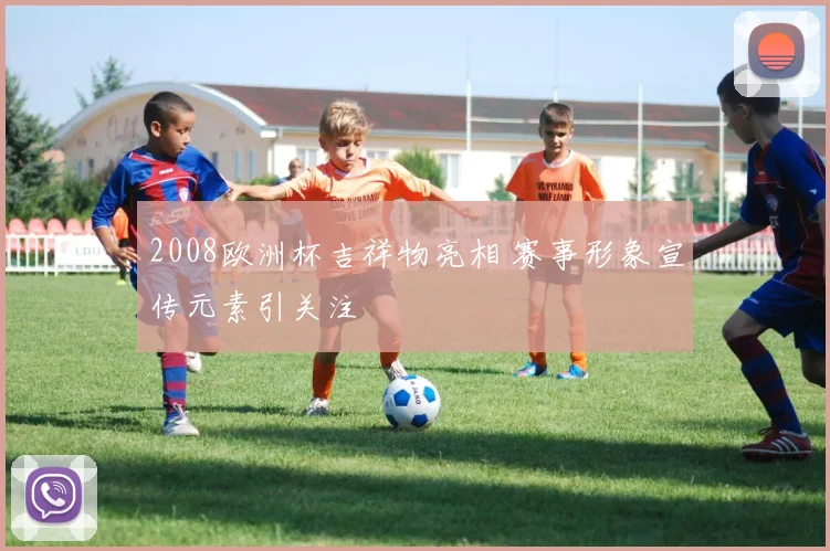2008欧洲杯吉祥物亮相 赛事形象宣传元素引关注