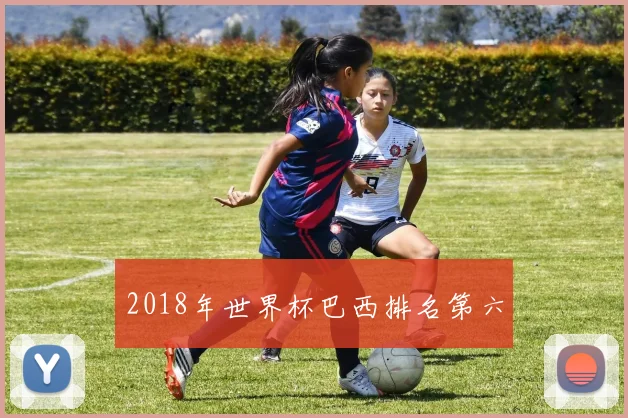 2018年世界杯巴西排名第六