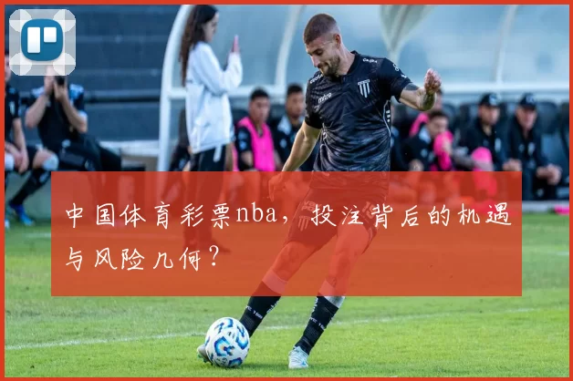 中国体育彩票nba，投注背后的机遇与风险几何？