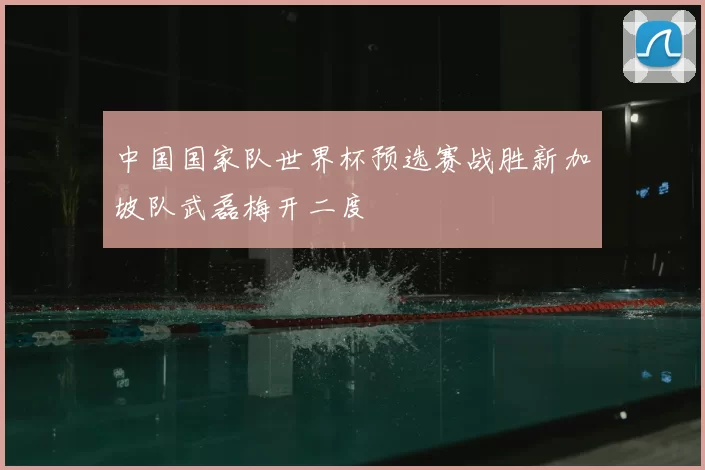 中国国家队世界杯预选赛战胜新加坡队武磊梅开二度